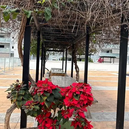 Διαμέρισμα Bajamar Paradise, Near The Beach.